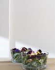 Bowl Ali | Clear Glass - NU PUUR & GROEN