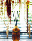 Diffuser Eclectic | Ginger Fig - NU PUUR & GROEN
