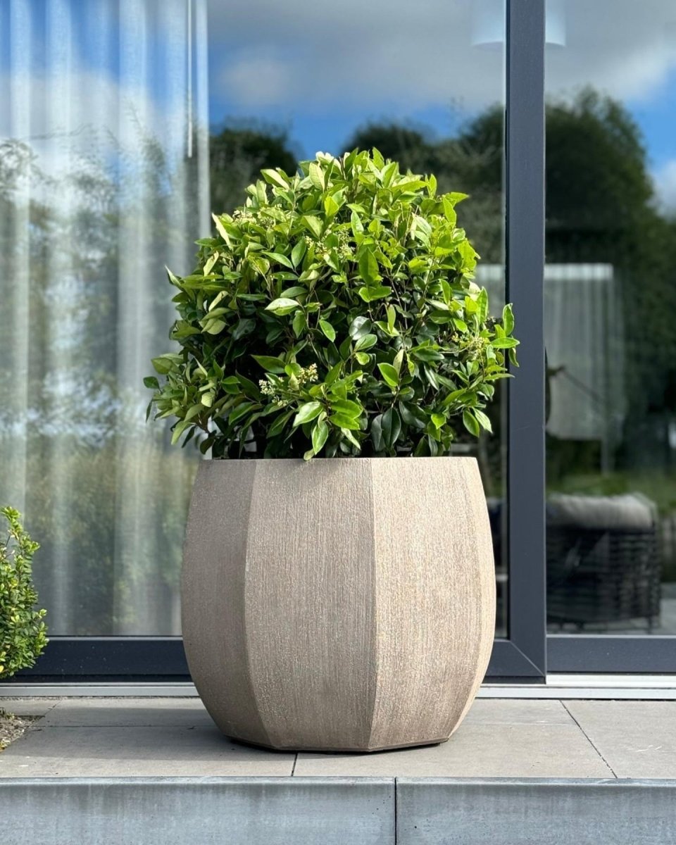 DOMANI pot ALMA | Natural Grey - NU PUUR & GROEN