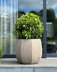 DOMANI pot ALMA | Natural Grey - NU PUUR & GROEN