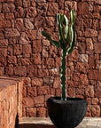 DOMANI pot "ATLANTIS" | Metallic Black - NU PUUR & GROEN