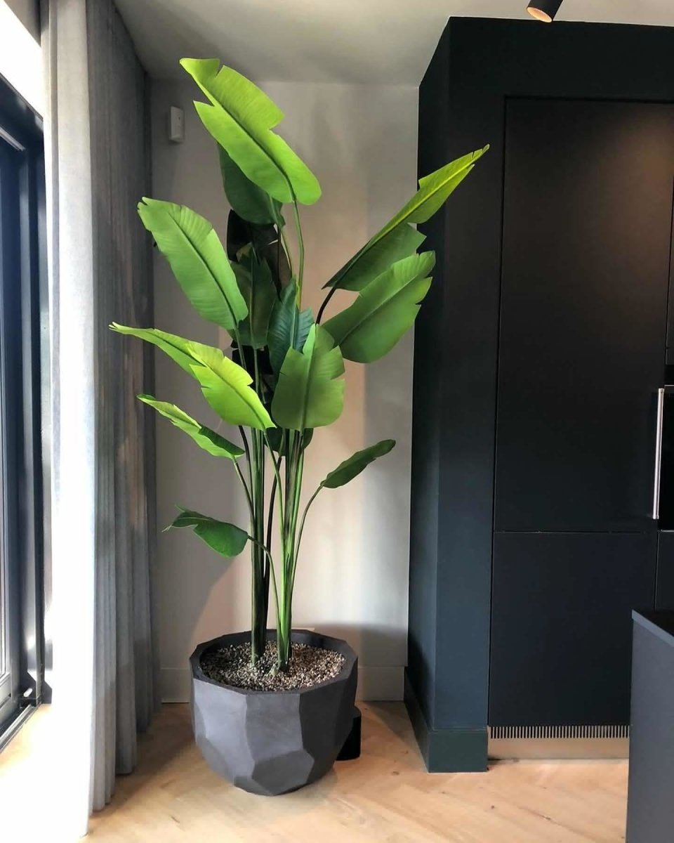 DOMANI pot BILBAO | Natural Black - NU PUUR & GROEN