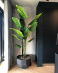 DOMANI pot BILBAO | Natural Black - NU PUUR & GROEN