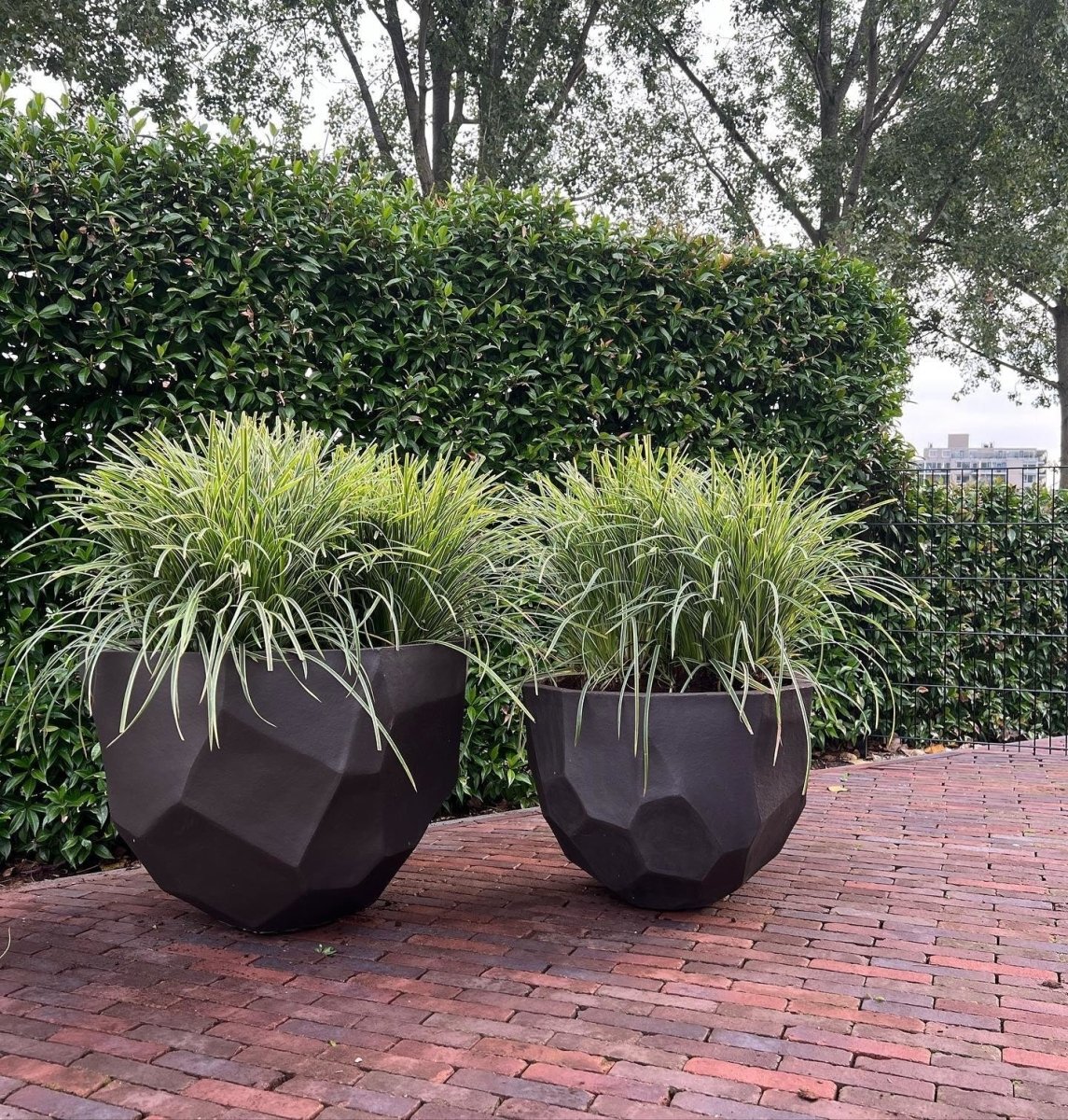 DOMANI pot BILBAO | Natural Black - NU PUUR & GROEN