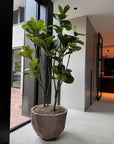 DOMANI pot BILBAO | Natural Grey - NU PUUR & GROEN