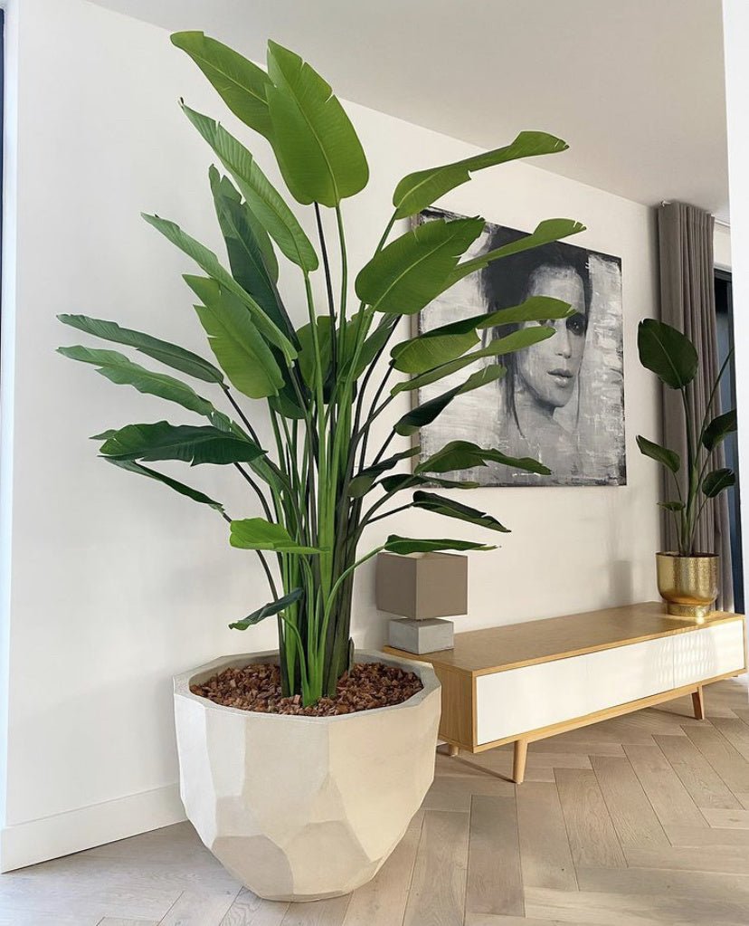 DOMANI pot BILBAO | Natural White - NU PUUR &amp; GROEN