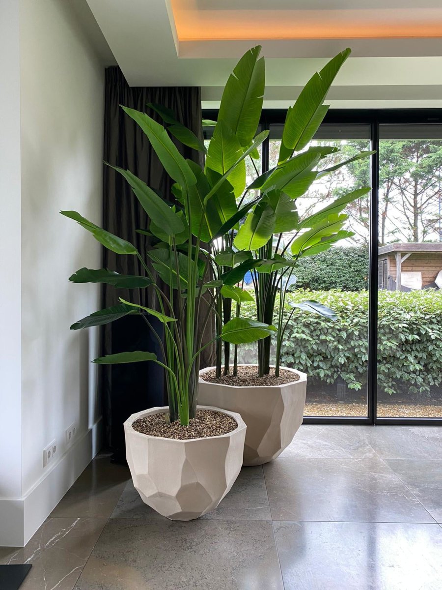 DOMANI pot BILBAO | Natural White - NU PUUR &amp; GROEN