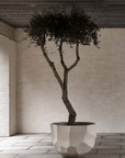 DOMANI pot BILBAO | Natural White - NU PUUR & GROEN