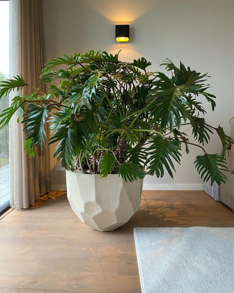 DOMANI pot BILBAO | Natural White - NU PUUR & GROEN