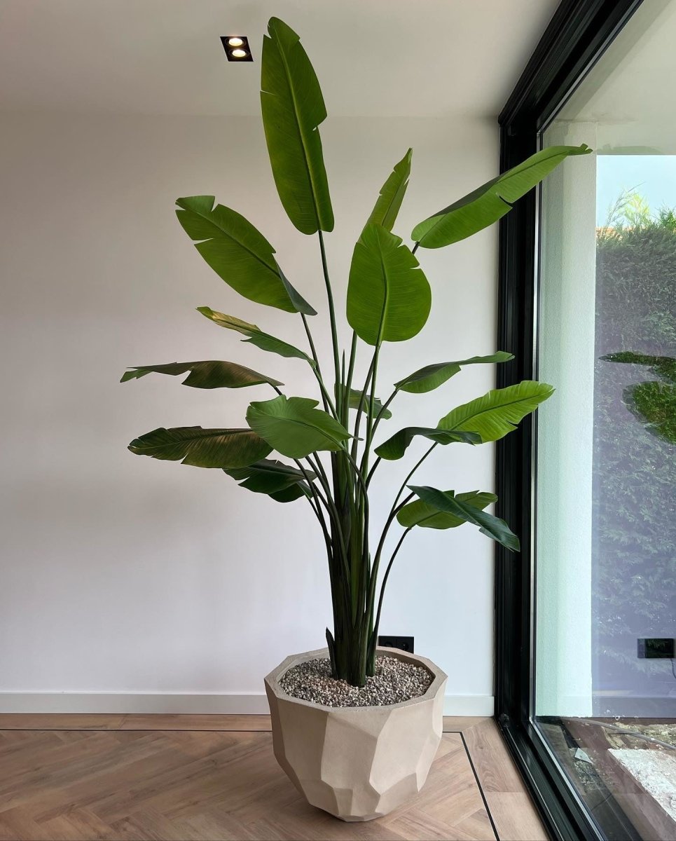 DOMANI pot BILBAO | Natural White - NU PUUR & GROEN