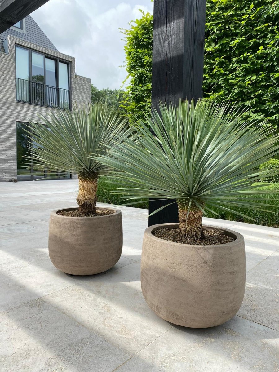 DOMANI pot "GRAZ" | Natural Grey - NU PUUR & GROEN