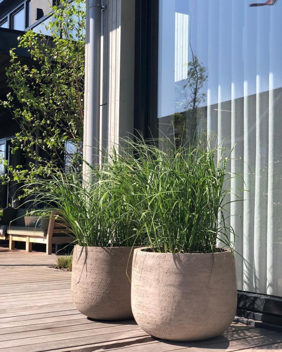 DOMANI pot "GRAZ" | Natural Grey - NU PUUR & GROEN