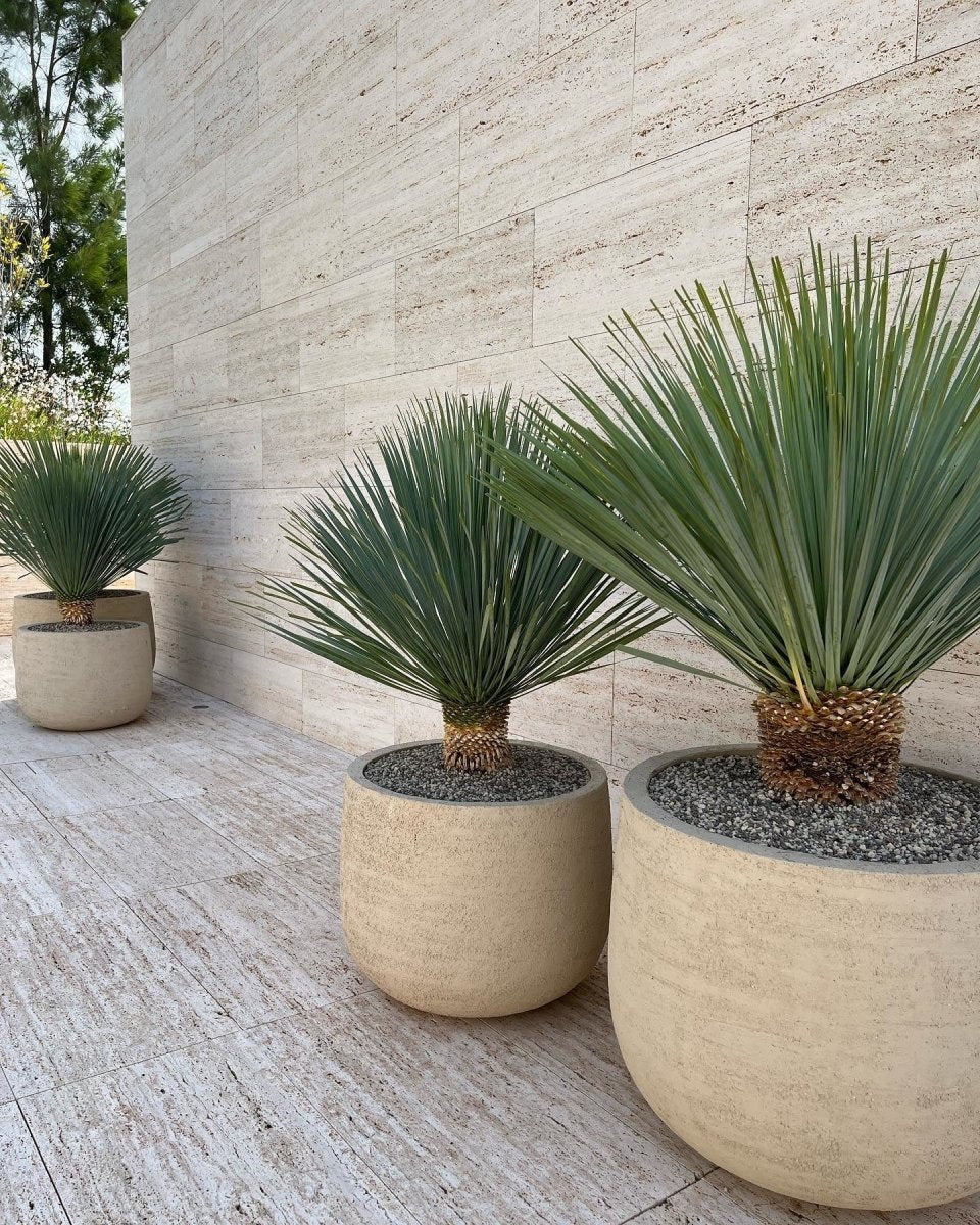 DOMANI pot "GRAZ" | Natural White - NU PUUR &amp; GROEN