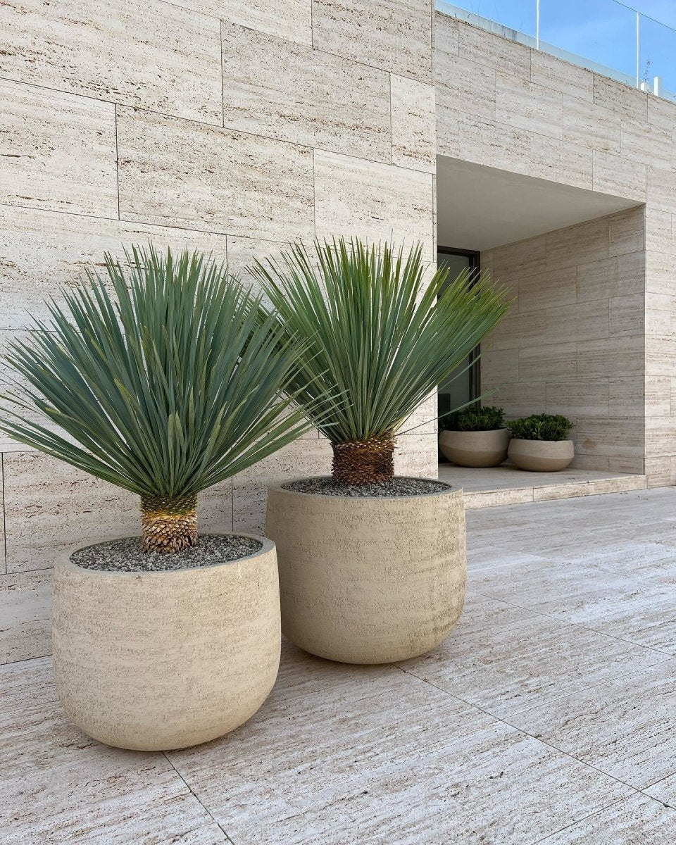 DOMANI pot "GRAZ" | Natural White - NU PUUR & GROEN