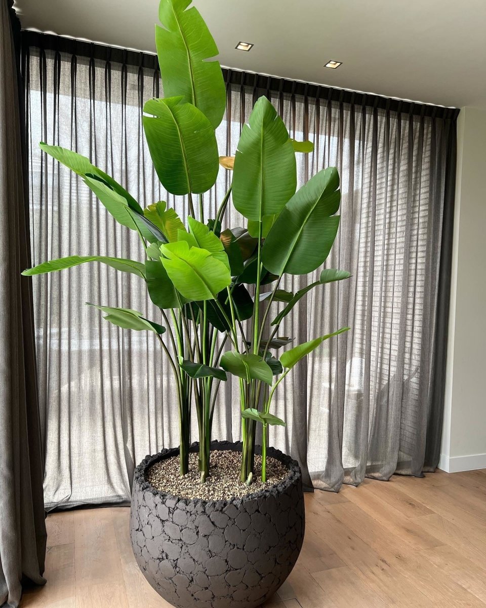 DOMANI pot LAVA | Natural Black - NU PUUR & GROEN