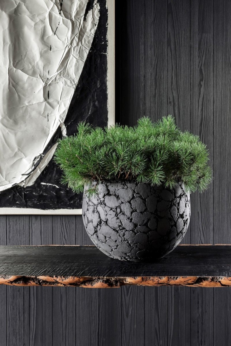 DOMANI pot LAVA | Natural Black - NU PUUR & GROEN
