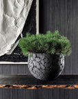DOMANI pot LAVA | Natural Black - NU PUUR & GROEN