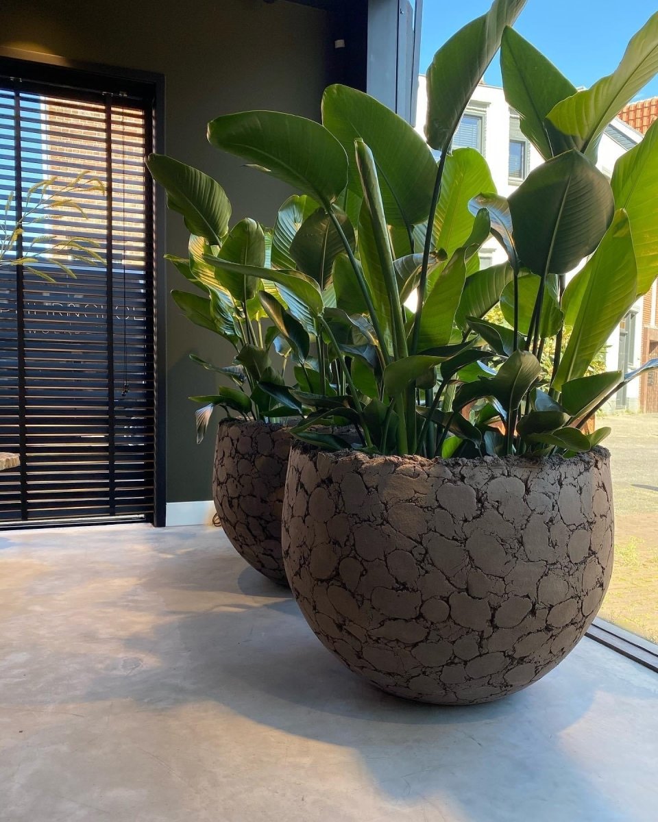 DOMANI pot LAVA | Natural Brown - NU PUUR &amp; GROEN