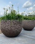 DOMANI pot LAVA | Natural Brown - NU PUUR & GROEN