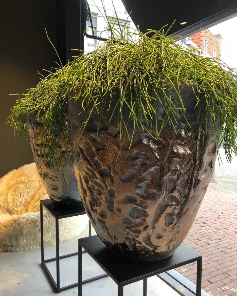 DOMANI pot LUANDA | Bronze - NU PUUR &amp; GROEN
