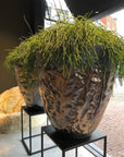 DOMANI pot LUANDA | Bronze - NU PUUR & GROEN