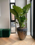 DOMANI pot LUANDA | Bronze - NU PUUR & GROEN