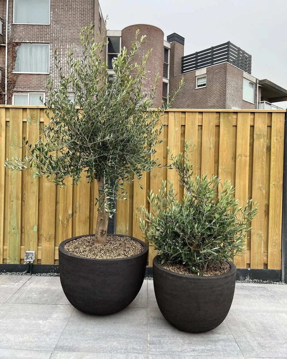 DOMANI pot "TEXEL" | Natural Black - NU PUUR & GROEN