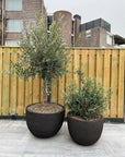 DOMANI pot "TEXEL" | Natural Black - NU PUUR & GROEN