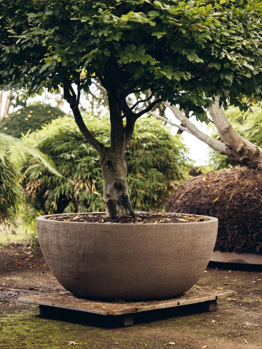 DOMANI pot "TEXEL" | Natural Sand - NU PUUR & GROEN