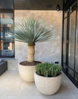 DOMANI pot "TEXEL" | Natural White - NU PUUR & GROEN