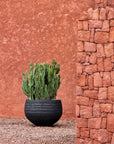 DOMANI pot "VIENNA" | Natural Black - NU PUUR & GROEN