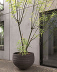 DOMANI pot "VIENNA" | Natural Black - NU PUUR & GROEN