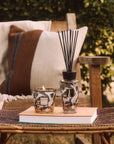 Geschenkdoos | My First Baobab Aspen - NU PUUR & GROEN