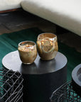 Geurkaars Cape Champagne S | Sage - NU PUUR & GROEN