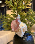 Kerst ornament | Mexicaanse schelp | 11 cm - NU PUUR & GROEN