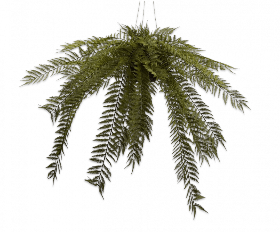 Kunst Hangplant Varen Groen | 119 cm - NU PUUR & GROEN