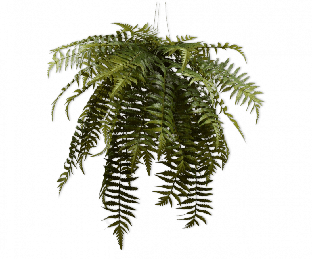 Kunst Hangplant Varen Groen | 122 cm - NU PUUR & GROEN