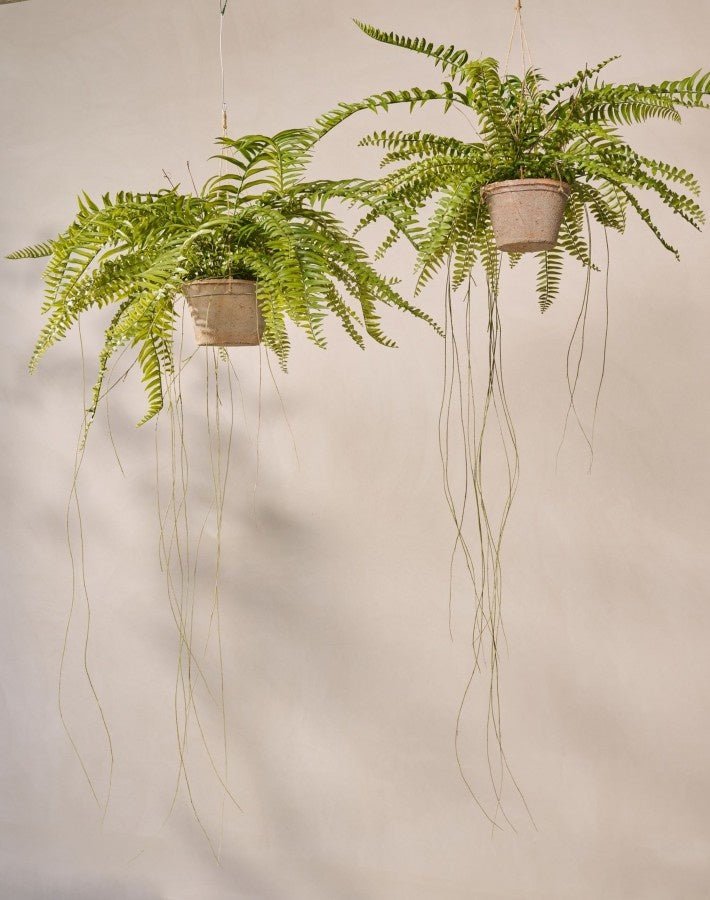 Kunst Hangplant Varen Groen | 74 cm - NU PUUR & GROEN