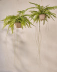 Kunst Hangplant Varen Groen | 74 cm - NU PUUR & GROEN