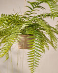 Kunst Hangplant Varen Groen | 74 cm - NU PUUR & GROEN