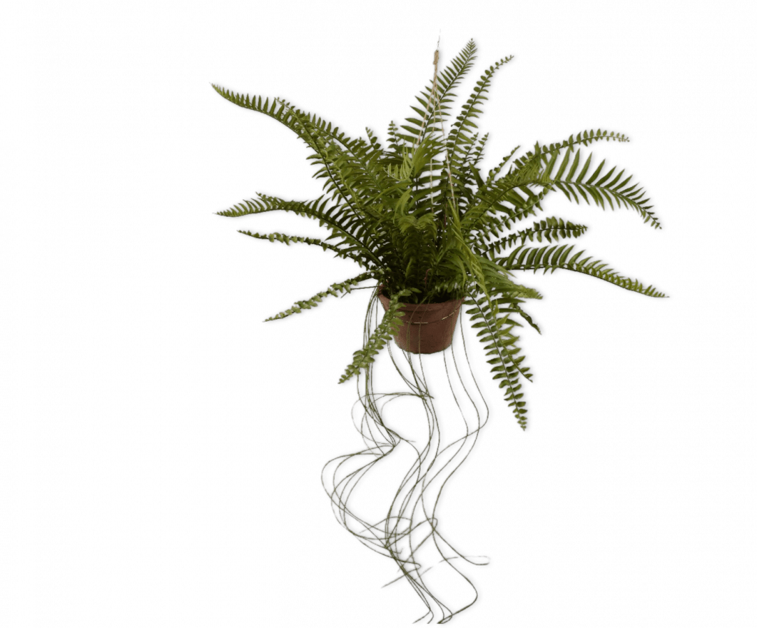 Kunst Hangplant Varen Groen | 74 cm - NU PUUR & GROEN
