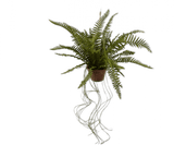 Kunst Hangplant Varen Groen | 74 cm