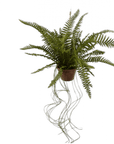 Kunst Hangplant Varen Groen | 74 cm - NU PUUR & GROEN