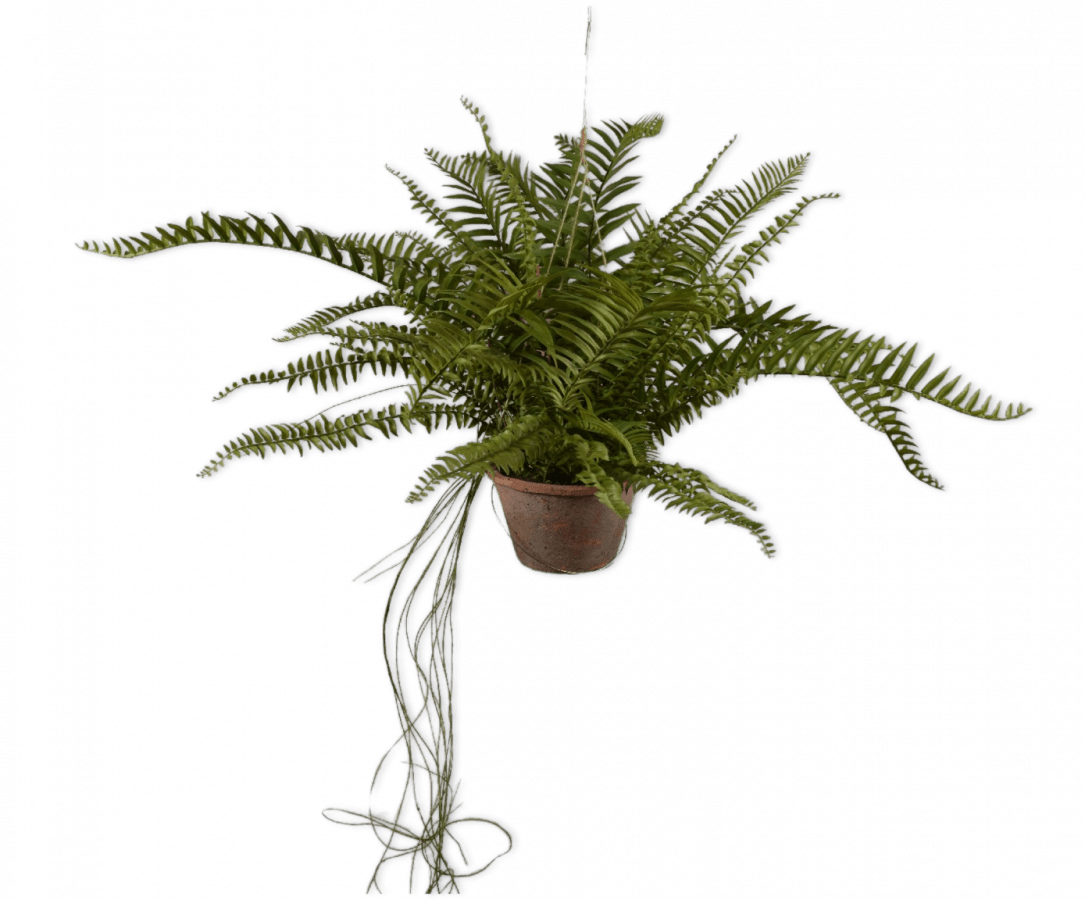 Kunst hangplant varen groen 76 cm - NU PUUR & GROEN
