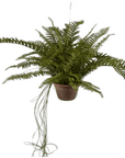 Kunst hangplant varen groen 76 cm - NU PUUR & GROEN