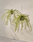 Kunst Hangplant Varen Groen Small | 119 cm - NU PUUR & GROEN
