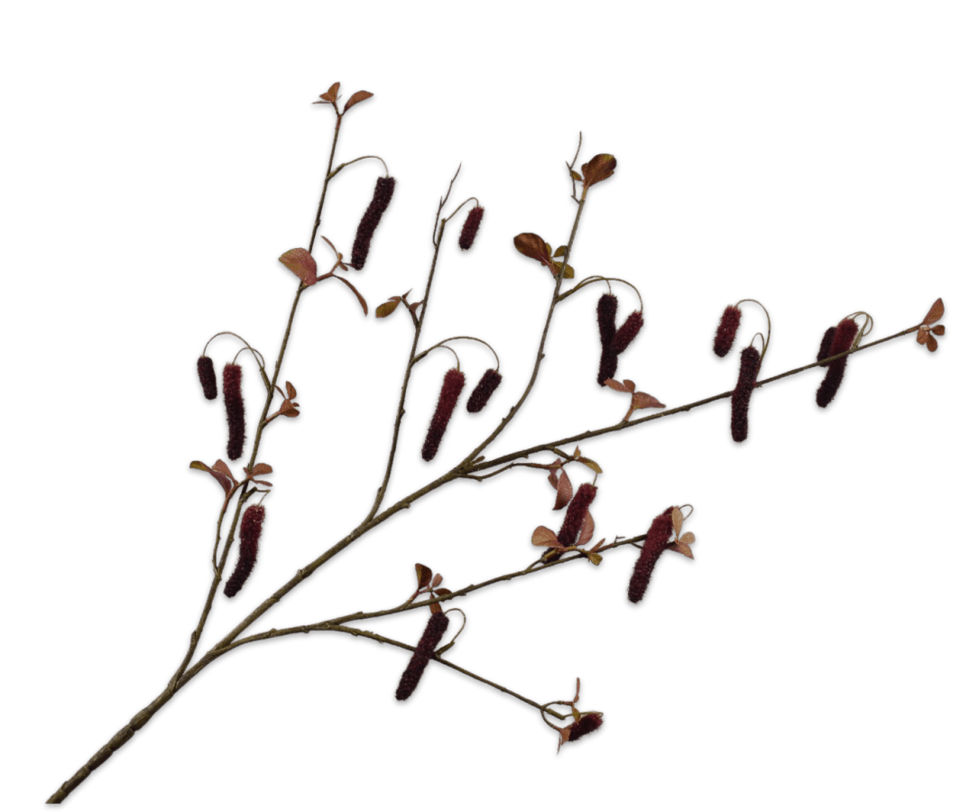 Kunstbloem Alnus Tak Bordeaux | 113 cm - NU PUUR &amp; GROEN