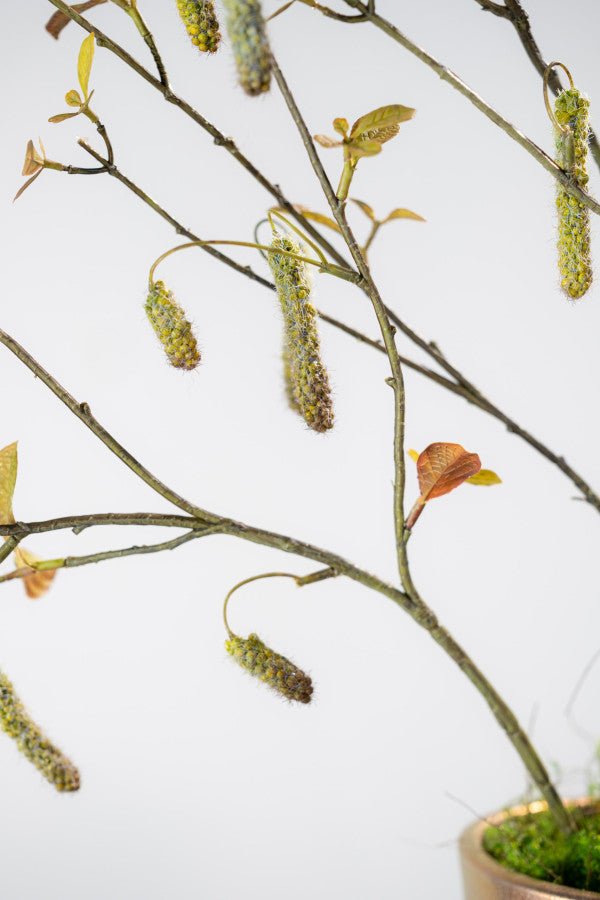 Kunstbloem Alnus Tak Groen | 113 cm - NU PUUR &amp; GROEN