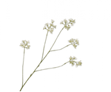 Kunstbloem Aralia Tak Roze LT | 114 cm