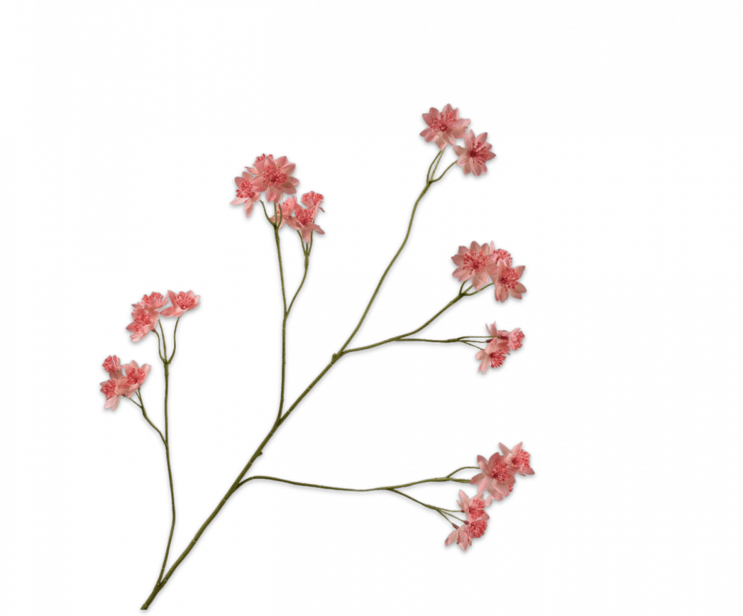 Kunstbloem Astrantia Tak Roze | 95 cm - NU PUUR & GROEN